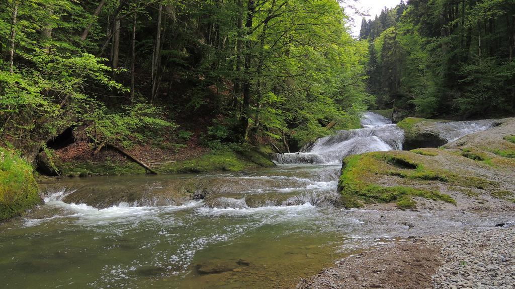 Ferienpark Oberallgaeu Ferienwohnung Missen-Wilhams Exteriör bild